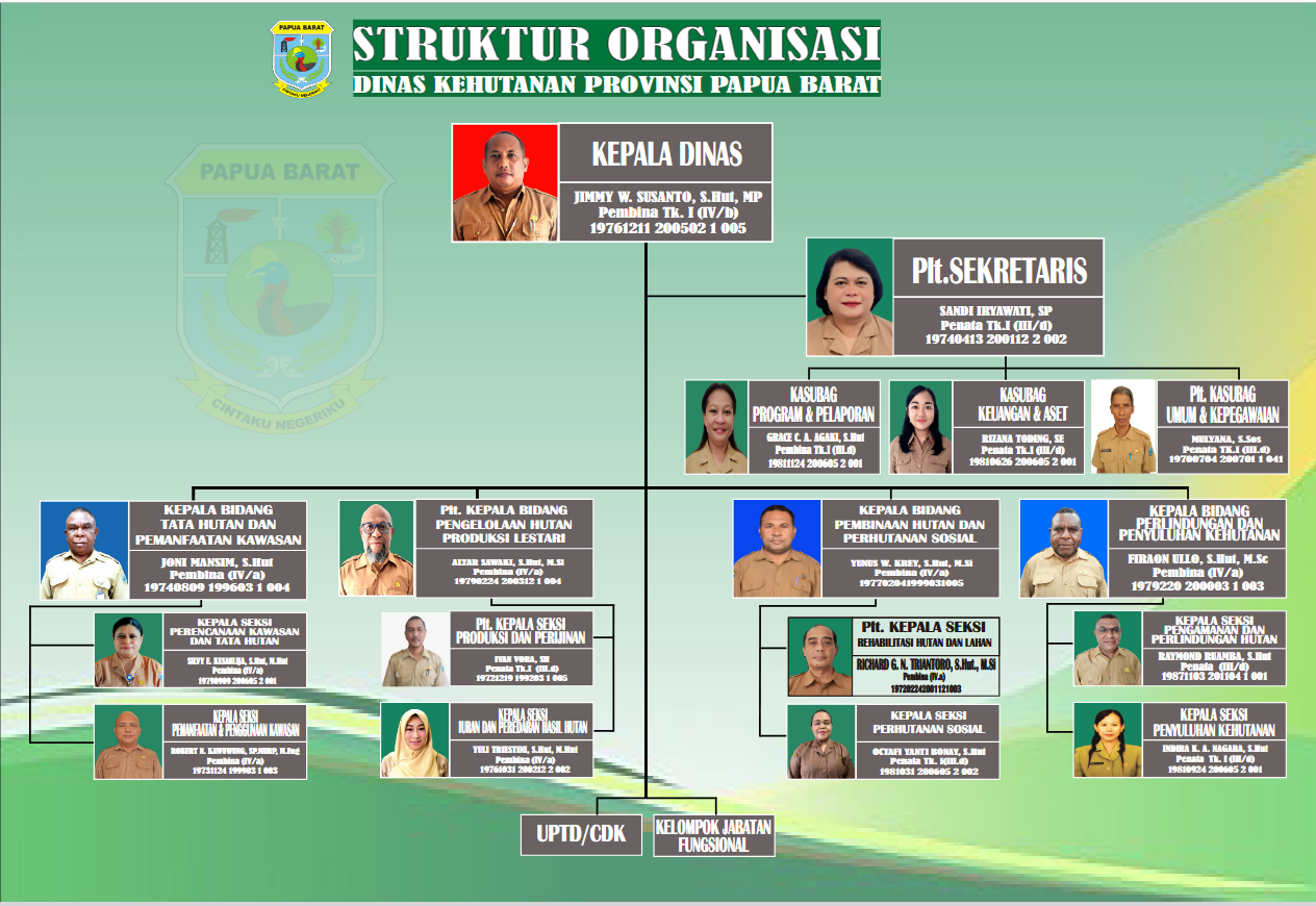 STRUKTUR ORGANISASI DINAS KEHUTANAN